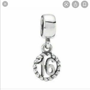 Pandora 16 Charm